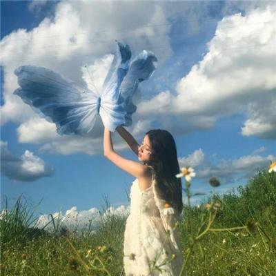 代号美洲豹